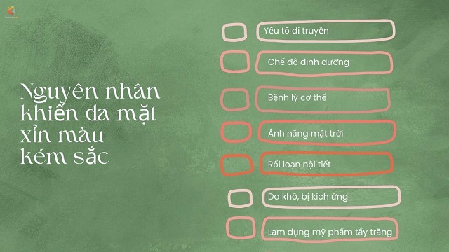 Nguyên nhân khiến da mặt bạn bị xỉn màu