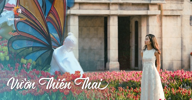 Muôn hoa khoe sắc tại vườn Thiên Thai