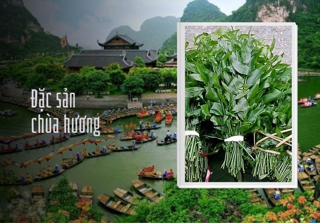  Rau sắng chùa Hương