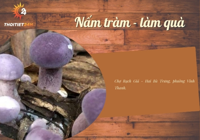 Nấm tràm giàu dinh dưỡng 