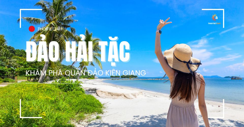 Đảo hải tặc