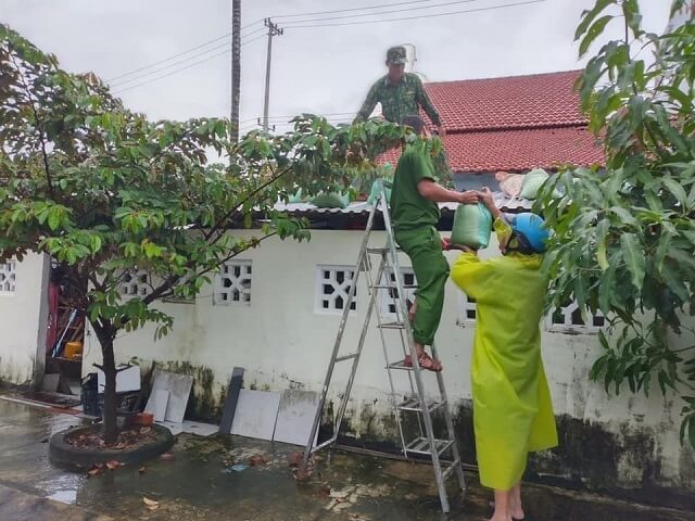 Tổ chức gia cố nhà cửa trước khi bão đổ bộ 