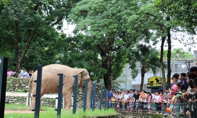 Công viên Thủ Lệ Hà Nội 