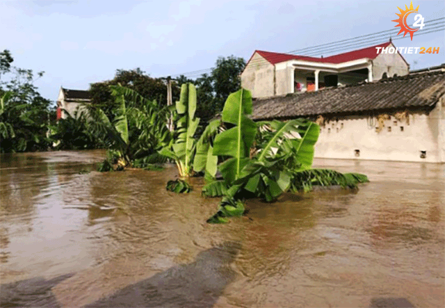 Dự báo thời tiết Thanh Hóa hôm nay ngày 15 tháng 6