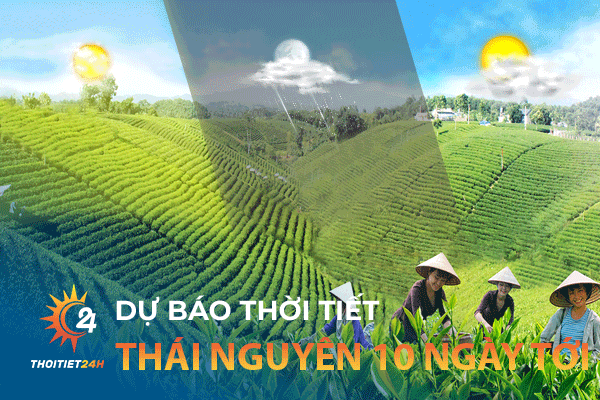 Dự báo thời tiết Thái Nguyên 10 ngày tới