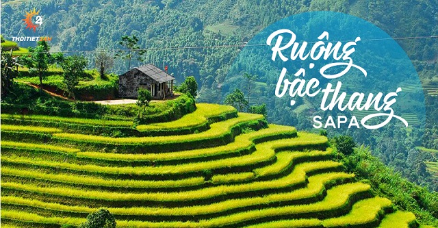 Ruộng bậc thang Sapa mùa nước đổ 