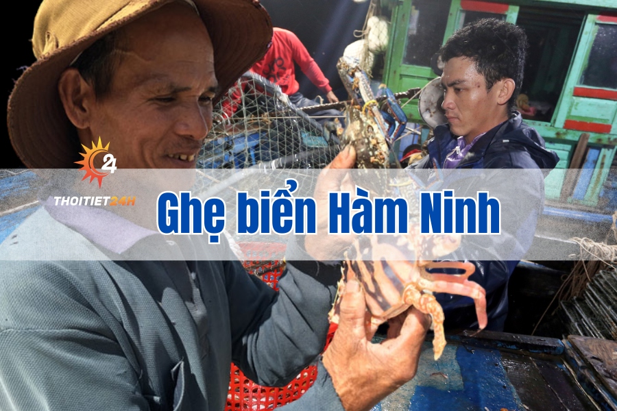  Tìm hiểu đặc sản ghẹ Hàm Ninh Phú Quốc