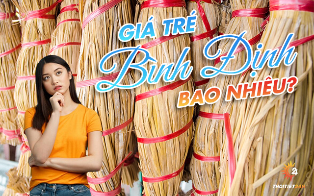 Giá tré Bình Định bao nhiêu?