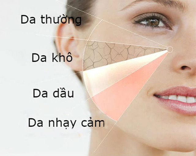 Phân biệt da thường với các kiểu loại da khác 