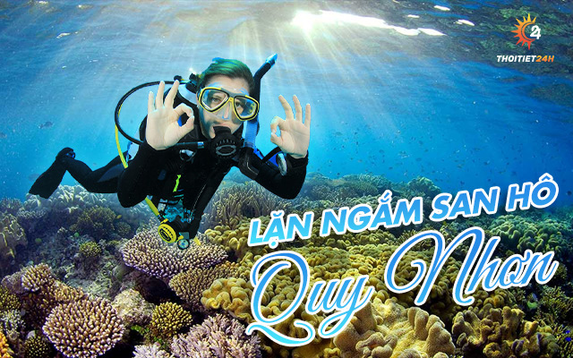 Lặn ngắm san hô Quy Nhơn 