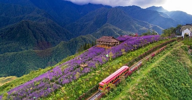 Trải nghiệm du lịch Sapa 