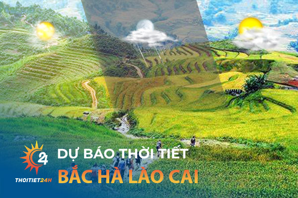 Dự báo thời tiết Bắc Hà Lào Cai