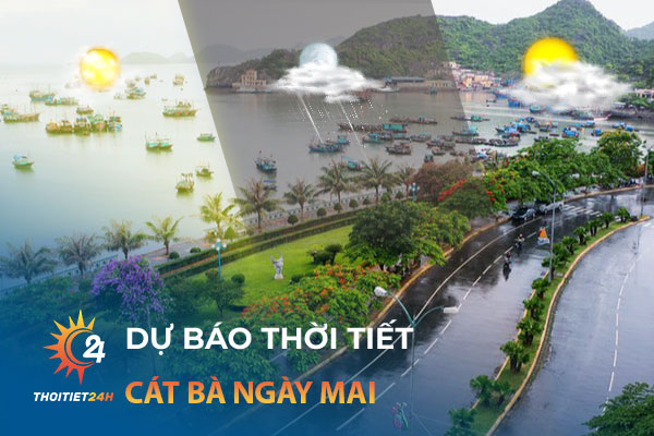 Dự báo thời tiết Cát Bà ngày mai