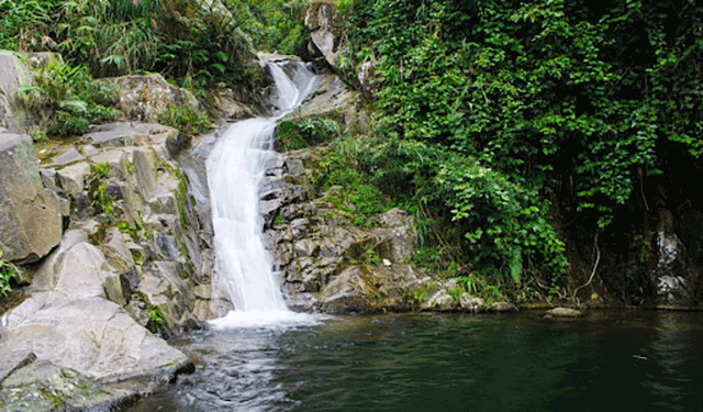 Suối Đát Đắng, Đại Từ Thái Nguyên 