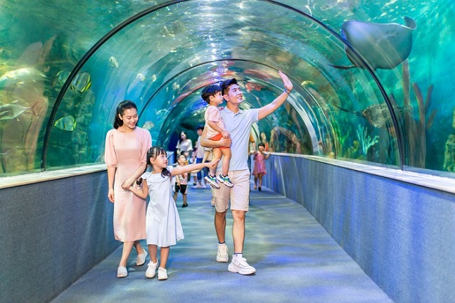 Khám phá thủy cung Vinpearl Aquarium