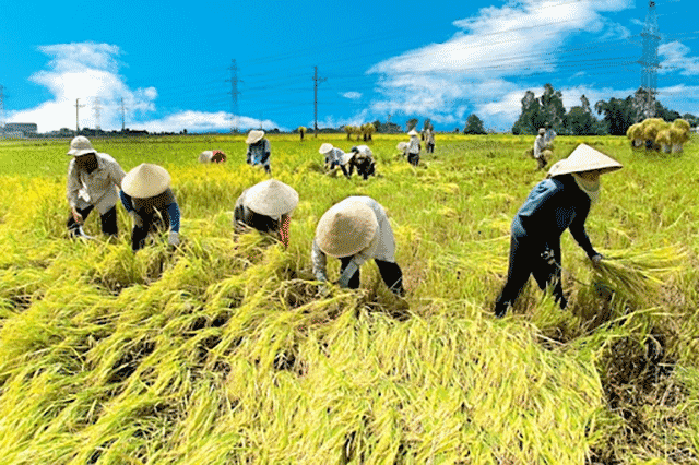 Hà Tĩnh nắng gắt những tháng hè