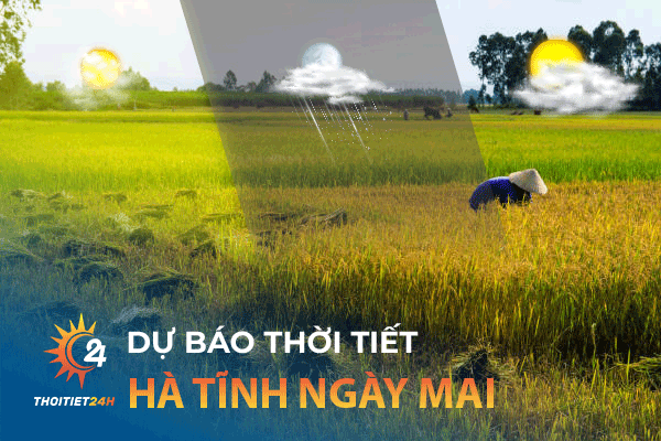 Dự báo thời tiết Hà Tĩnh ngày mai