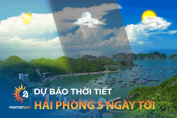 Dự báo thời tiết Hải Phòng 5 ngày tới