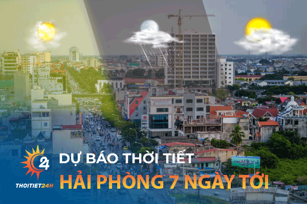 Dự báo thời tiết Hải Phòng 7 ngày tới