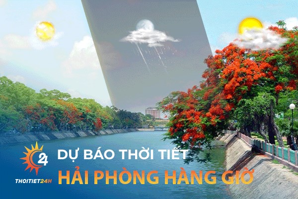 Cập nhật thời tiết Hải Phòng hàng giờ 