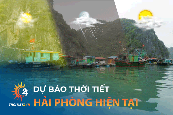 Thời tiết Hải Phòng hiện tại có mưa không?