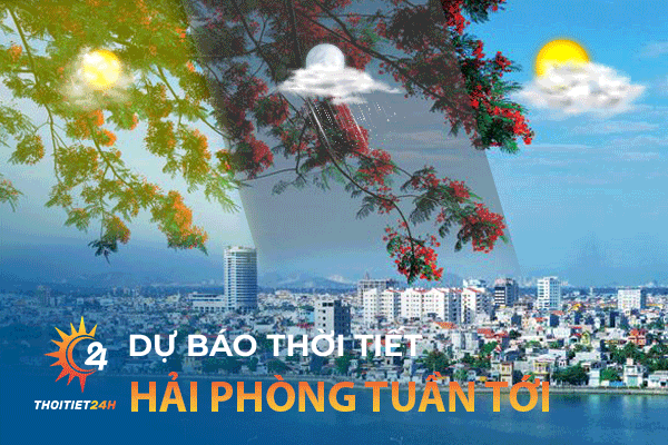 Dự báo thời tiết Hải Phòng tuần tới