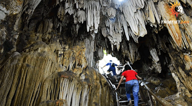 Hang động Tả Phìn