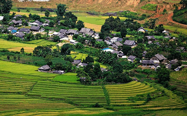 Ruộng bậc thang ở Lào Cai