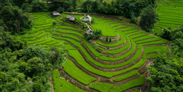 Các địa điểm du lịch nổi tiếng ở Lào Cai