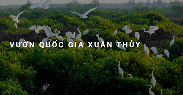 Du lịch vườn quốc gia Xuân Thủy