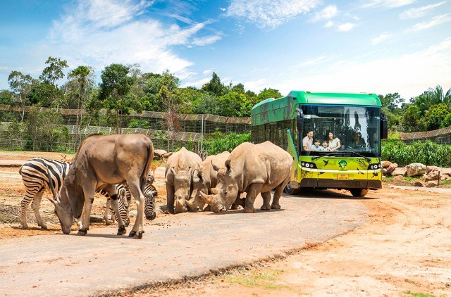 Thế giới động vật hoang dã tại Vinpearl Safari Phú Quốc