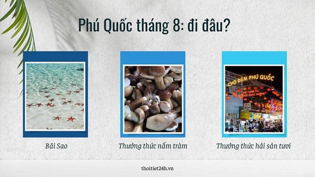 Thời tiết Phú Quốc tháng 8 nên đi đâu?