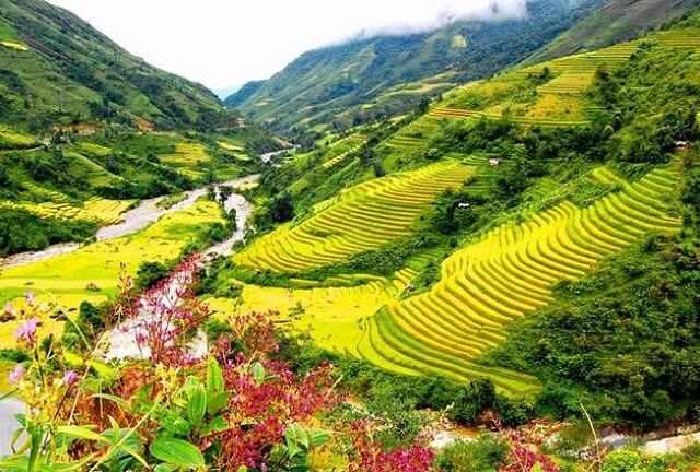 Ruộng Bậc Thang Sapa 