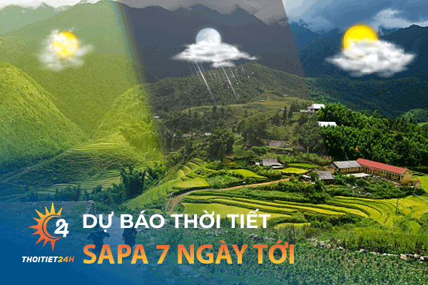 Dự báo thời tiết Sapa 7 ngày tới