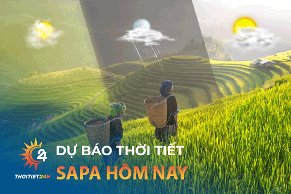 Dự báo thời tiết Sapa hôm nay có mưa không?