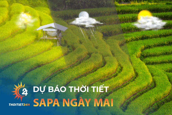 Dự báo thời tiết Sapa ngày mai