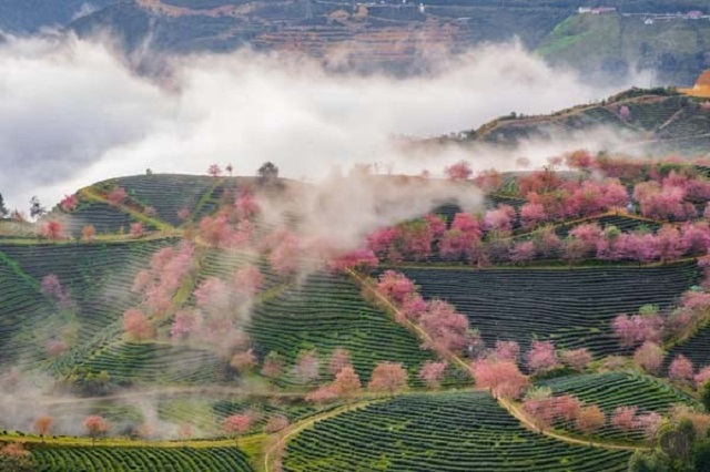 Nên đi du lịch Sapa tháng 2