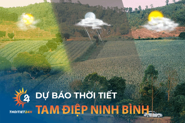 Dự báo thời tiết Tam Điệp Ninh Bình