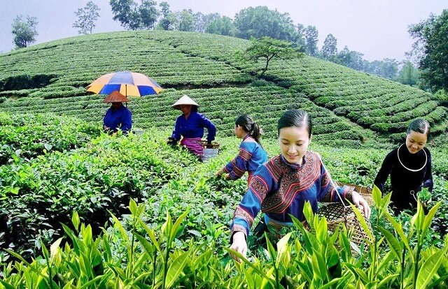 Trải nghiệm du lịch bụi Thái Nguyên  