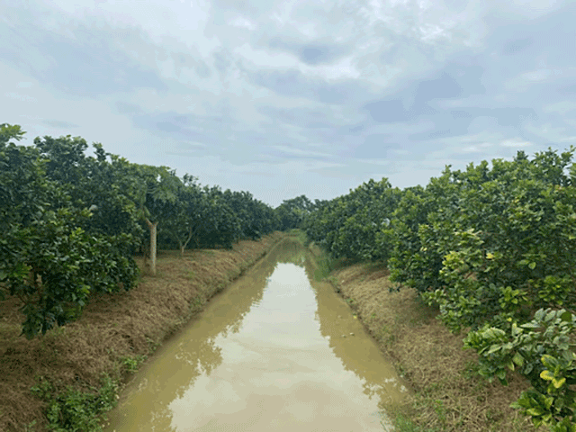 Huyện Yên Định tỉnh Thanh Hóa