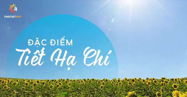 Đặc điểm của tiết Hạ Chí  