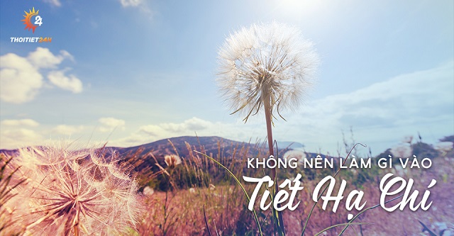 Không nên làm gì vào tiết Hạ Chí  