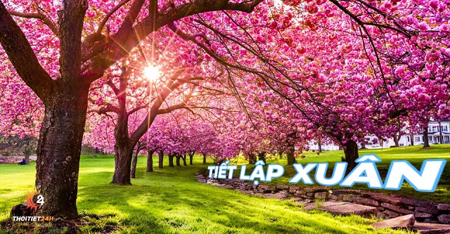 Tiết Lập Xuân là tiết khí khởi đầu của mùa Xuân 