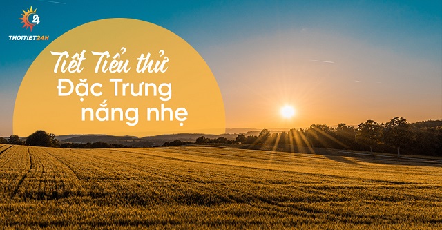 Tiết Tiểu Thử có đặc trưng là nắng nhẹ 