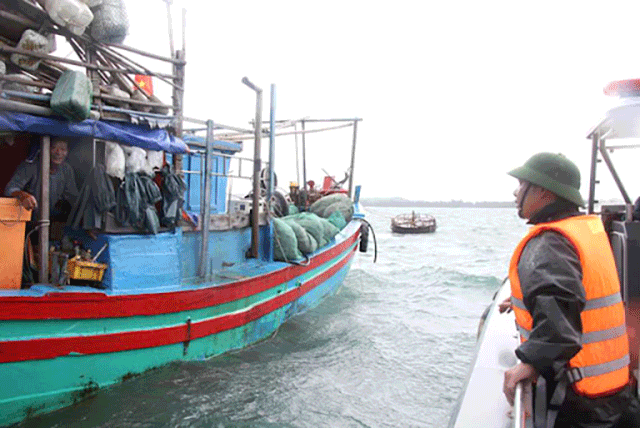 Thuyền bè tránh trú bão trên biển 