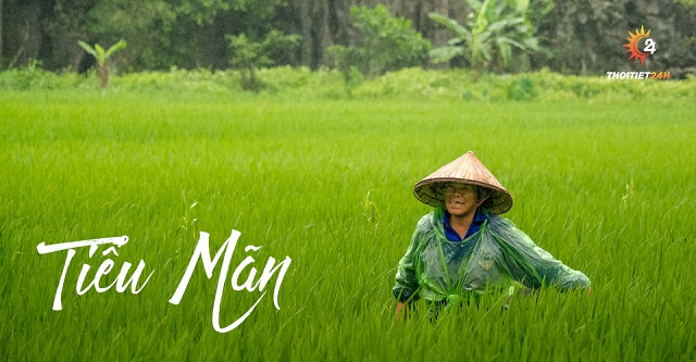  Tiết Tiểu Mãn 