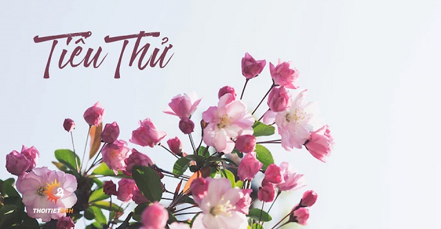  Tiết Tiểu Thử 