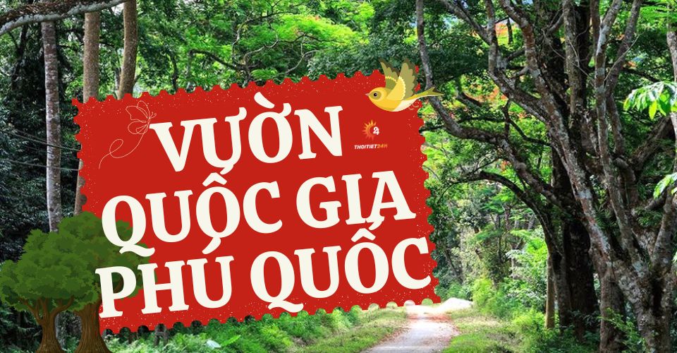 Khám phá vườn quốc gia Phú Quốc